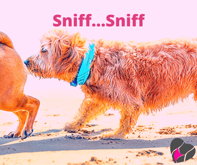 You SMELL that 👃🏽?  No you DON'T!